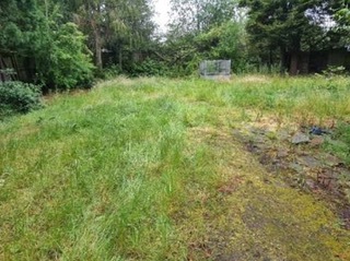 Overgrown land currently occupies the site in Cheshire